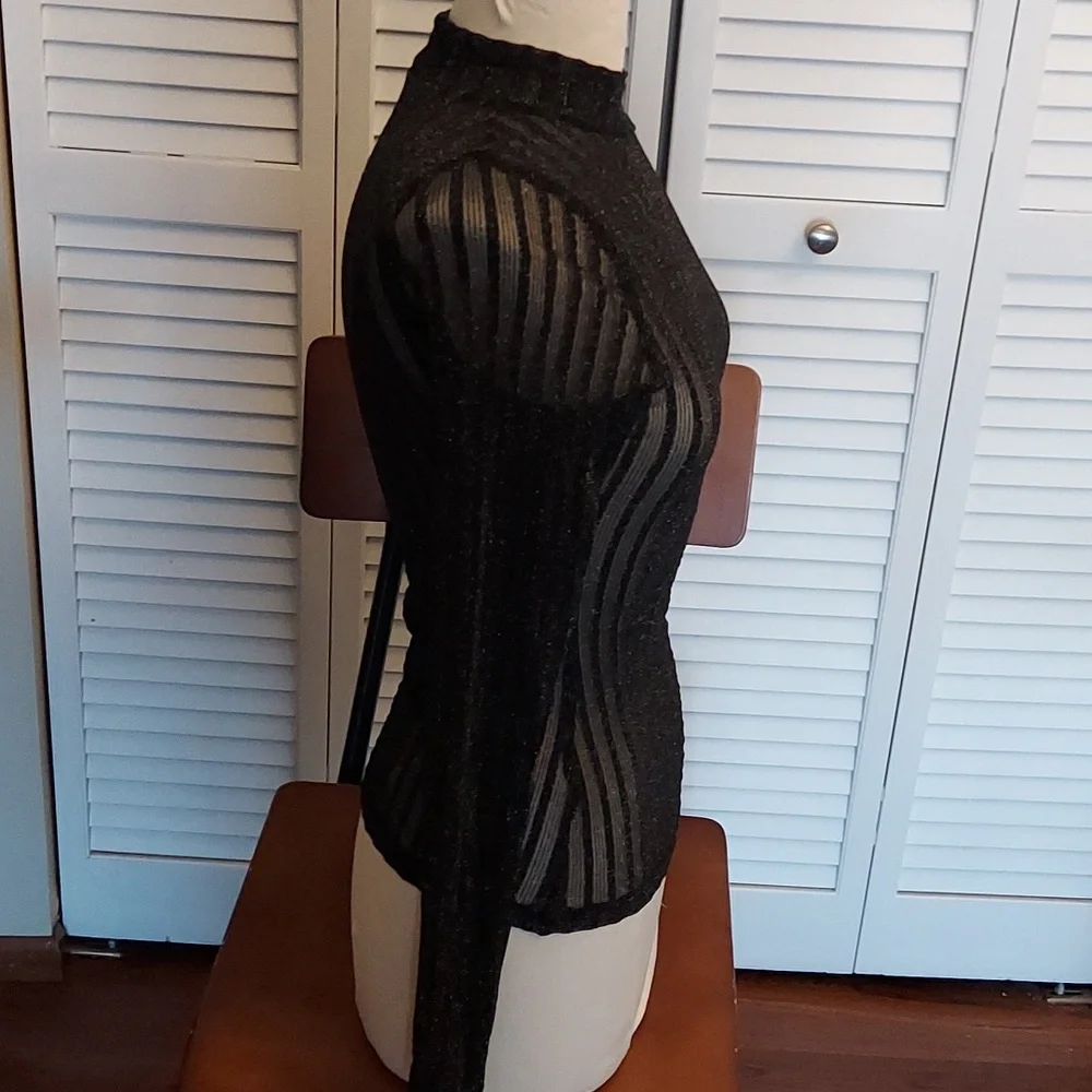 Buckle Black Sheer Striped Blouse - Picture 3 of 4